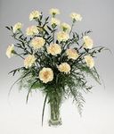 Eighteen carnations in a clear vase 