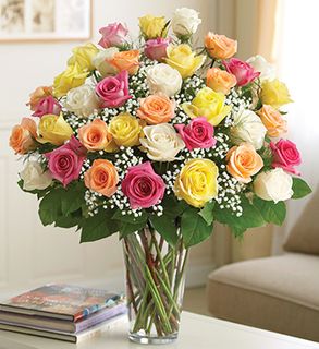 Elegance Premium Long Stem Assorted Roses 3 dozen