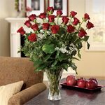 Elegant Red Roses Elegant Red Roses