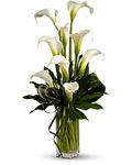 Elegant callas Delivery Irving