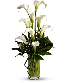 Elegant callas Delivery Irving