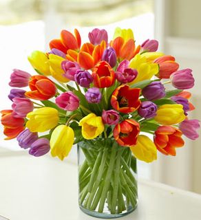 Enchanting Tulip Bouquet 