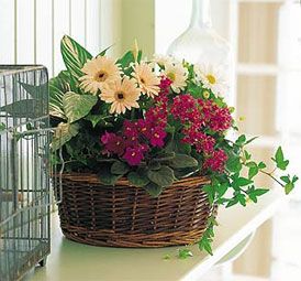 European Garden Basket