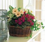European Garden Basket