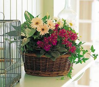 European Garden Basket