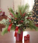 Everlasting Evergreen Everlasting Evergreen