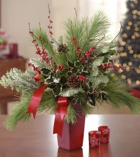Everlasting Evergreen