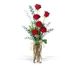 Expression of Love Expression of Love