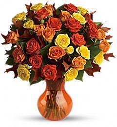 Fabulous Fall Roses Flowers