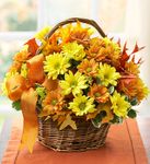Fall Daisy Basket 