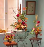 Fall mixed flowers Fall mixed flowers