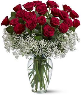  Field of Roses Love @Romance