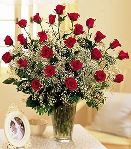 Field Of Roses- Valentin rose