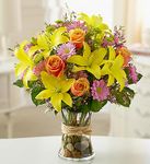 Fields of Europe Arrangement 