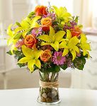 Fields of Europe Arrangement