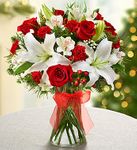 Fields of Europe for Christmas