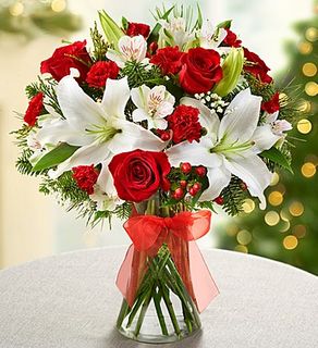 Fields of Europe for Christmas Flowers