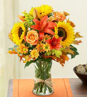 Fields of Europe for Fall sunflower