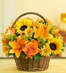 Fields of Europe for Fall Basket 
