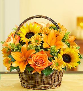 Fields of Europe for Fall Basket 