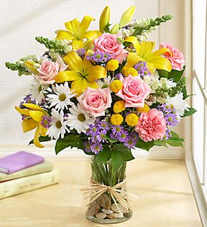 Fields of Europe for Spring