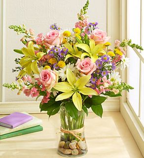 Fields of Europe for Spring 