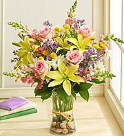 Fields of Europe for Spring