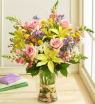 Fields of Europe for Spring 