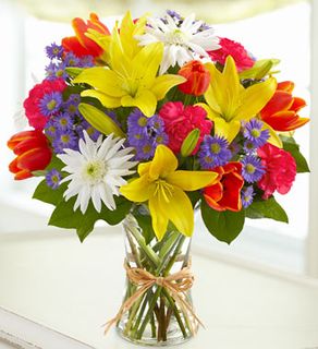 Fields of Europe for Spring 