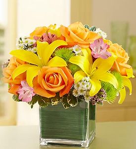 Fields of Europe in Cube Vase