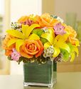 Fields of Europe in Cube Vase