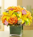 Fields of Europe in Cube Vase 