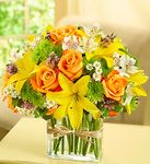 Fields of Europe in Rectangle Vase 