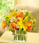 Fields of Europe in Rectangle Vase 