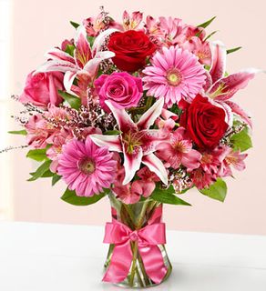 Fields of Europe Romance 