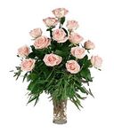 Fifteen peach roses Fifteen peach roses