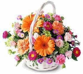  Floral Burst Arrangement