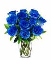 Valentine's Blue Rose