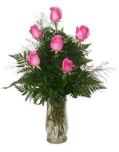Half Dozen Pink Roses Arranged