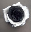 Black and white 