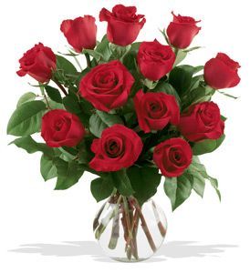 A Dozen Premium Red Roses