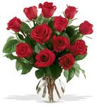 A Dozen Premium Red Roses