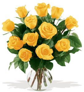 Yellow Roses