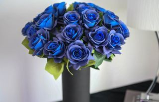 Blue Rose with Black Vase