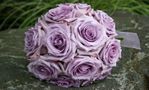 12 Lavender Rose In Vase