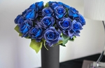 Blue Roses