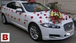 We Decor Wedding Car 