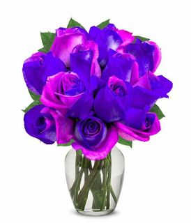 Purple tint Roses