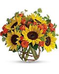 Sunny Sunflowers
