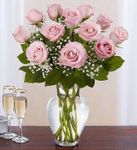 A dozen Pink Rose A dozen Pink Rose